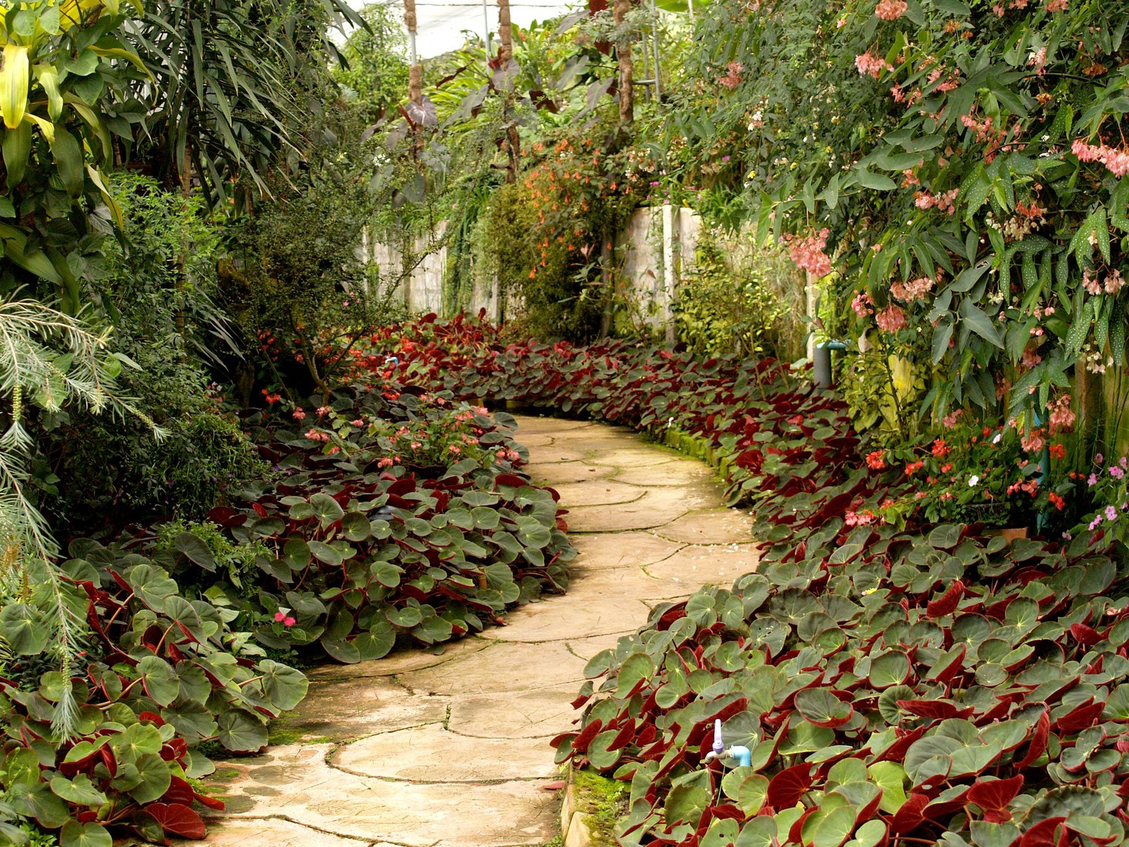 Landscaping - Outdoor Makeovers